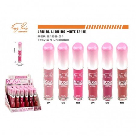 LIP GLOSS 24H 24/U 288/C