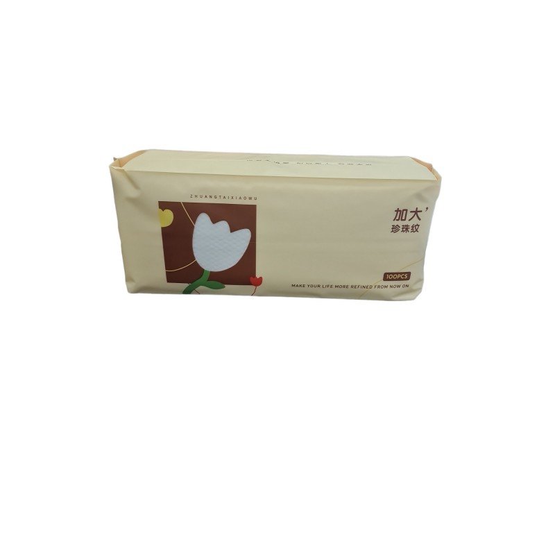 TOALLA DESECHABLE 100/20*25CM 60/C