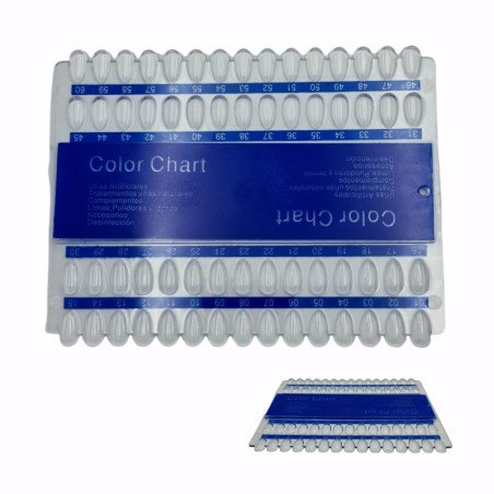 CARTA DE MUESTA 60 COLOR