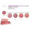 COLORETE BAKED BLUSH 24/U 288/U