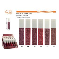 LIPS GLOSS KISS 24H 24/U 288/U
