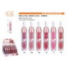 LIP GLOSS 24H 24/U 288/C