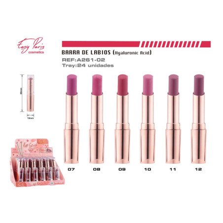 B.DE LABIOS 24H+ACID.HYAULONIC 288/U