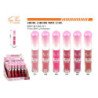 LIP GLOSS 24H 24/U 288/C