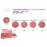COLORETE BAKED BLUSH 24/U 288/U