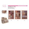 PALETA S. DE OJOS 13 COLORS 18/U 216/C