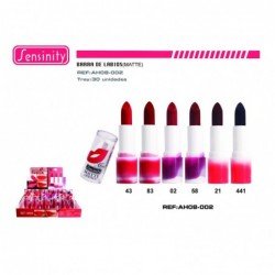 B.LABIOS MATTE 6H C/TESTER...