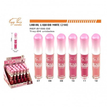 LIP GLOSS 24H 24/U 288/C